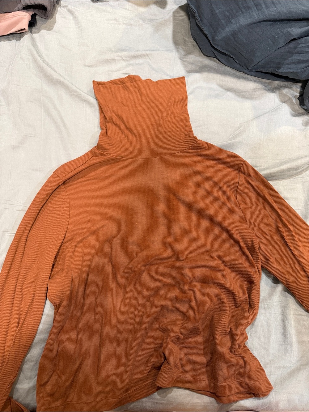 Rust Orange Turtleneck Long Sleeve Top
